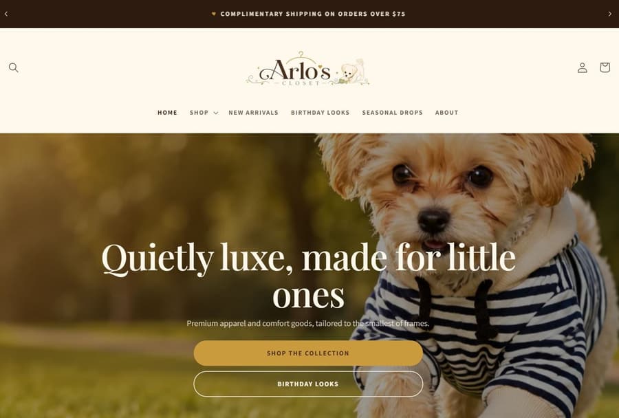 Website Design example